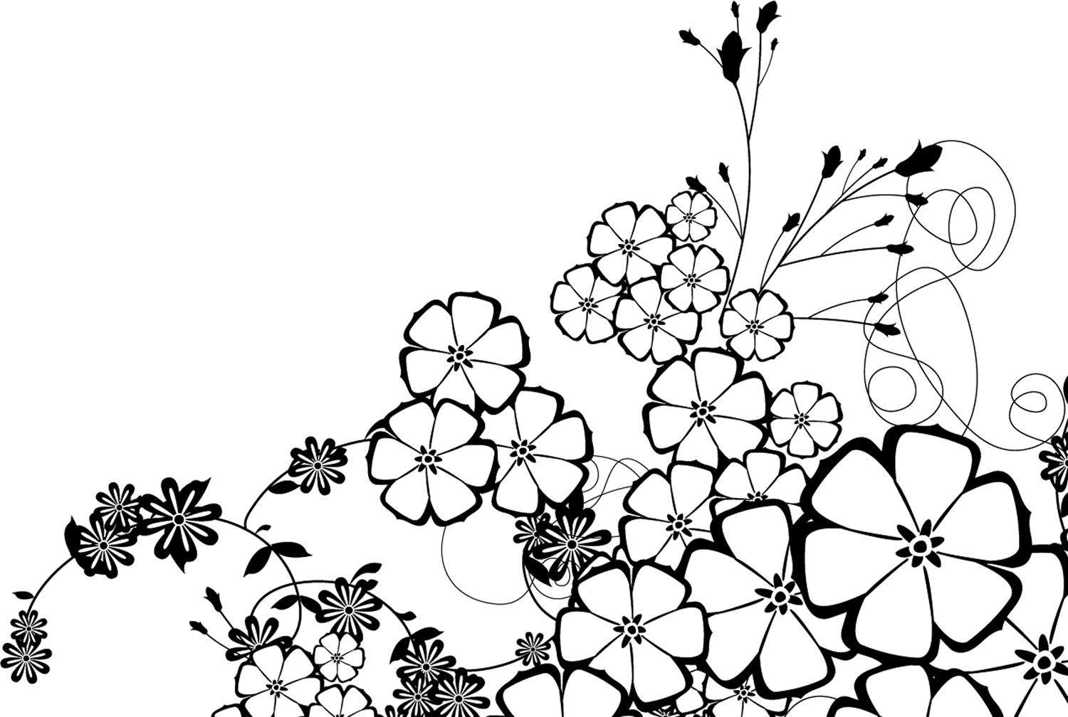 /