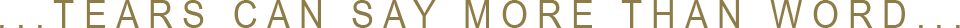 /