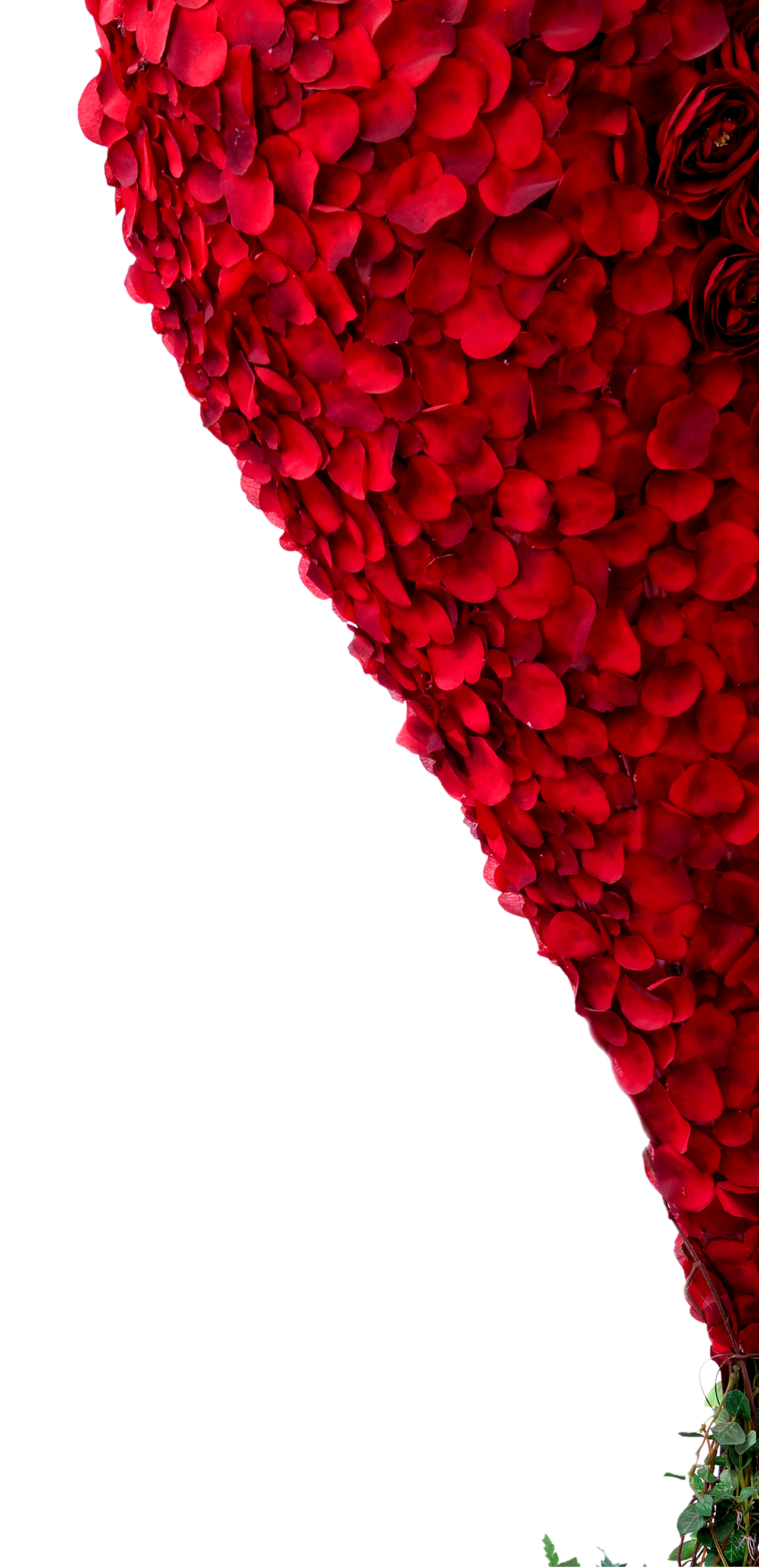 /