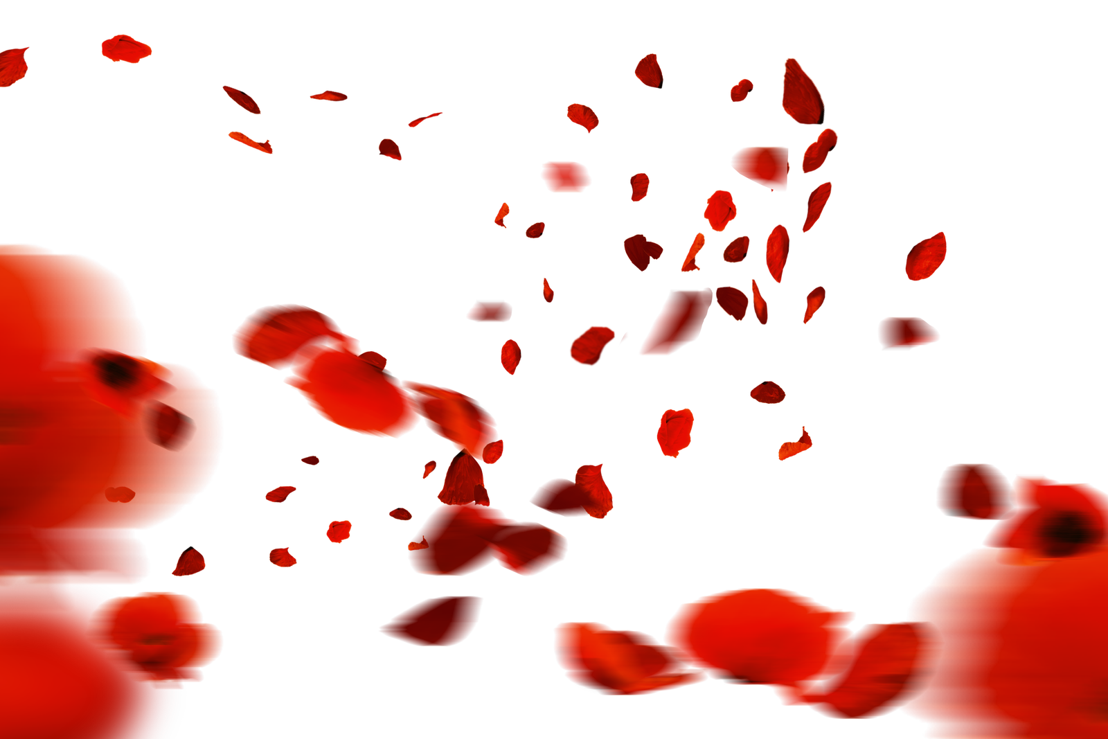 /