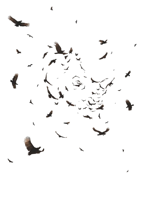 /