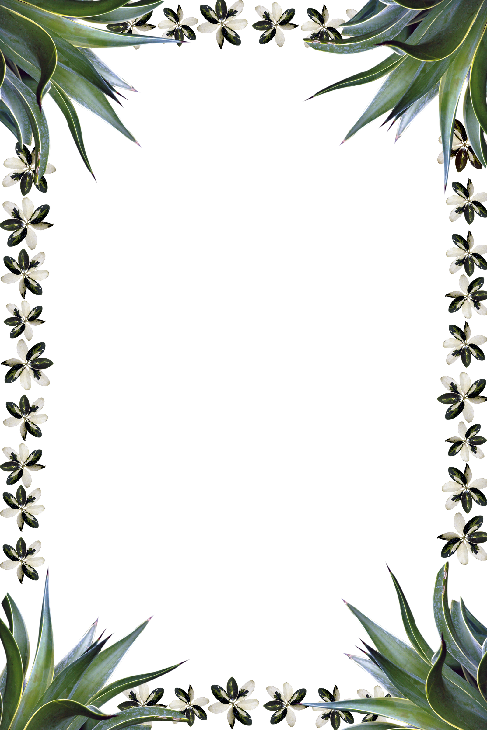 /