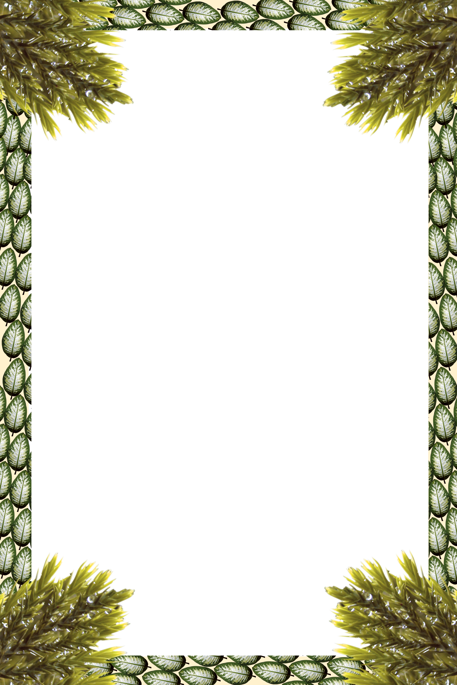 /