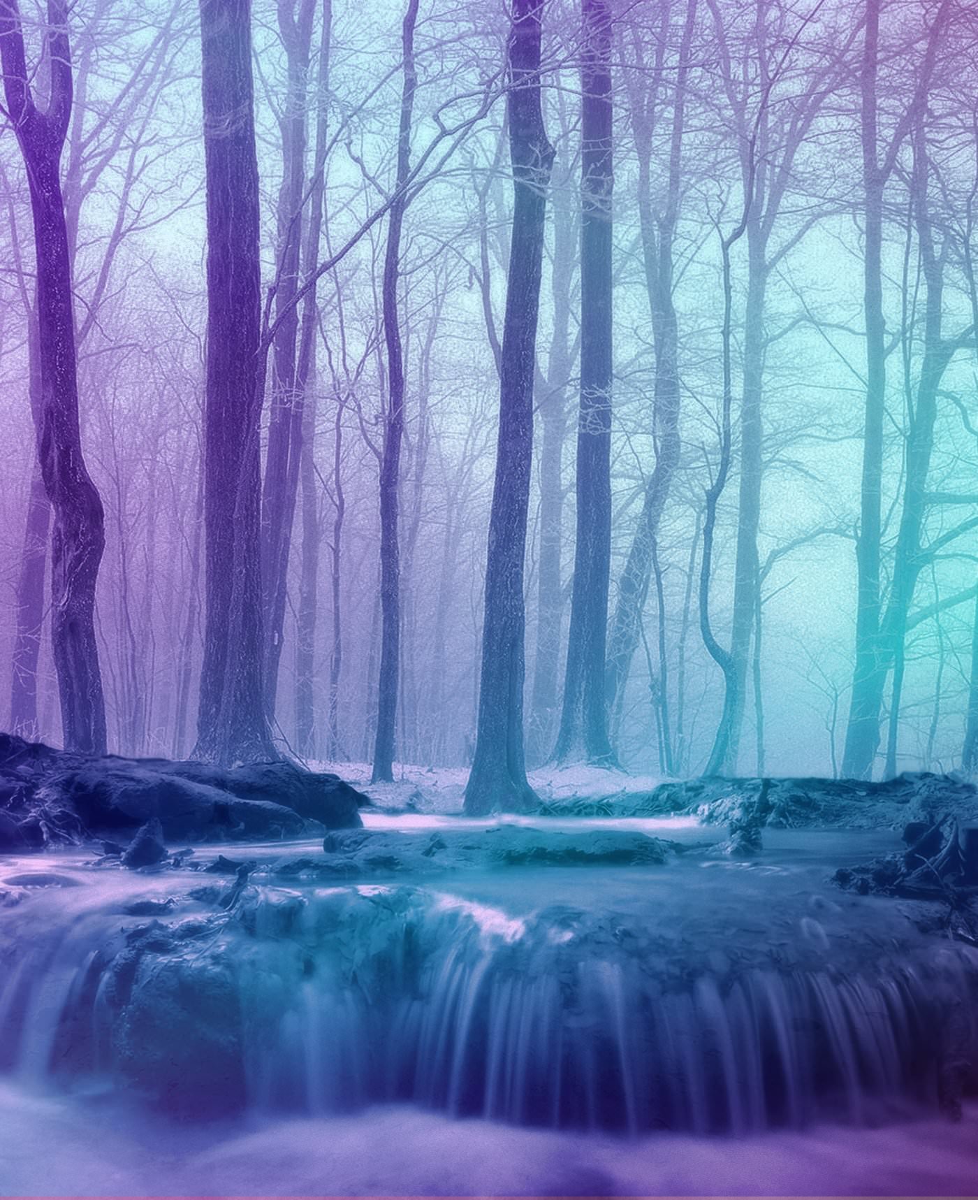 /