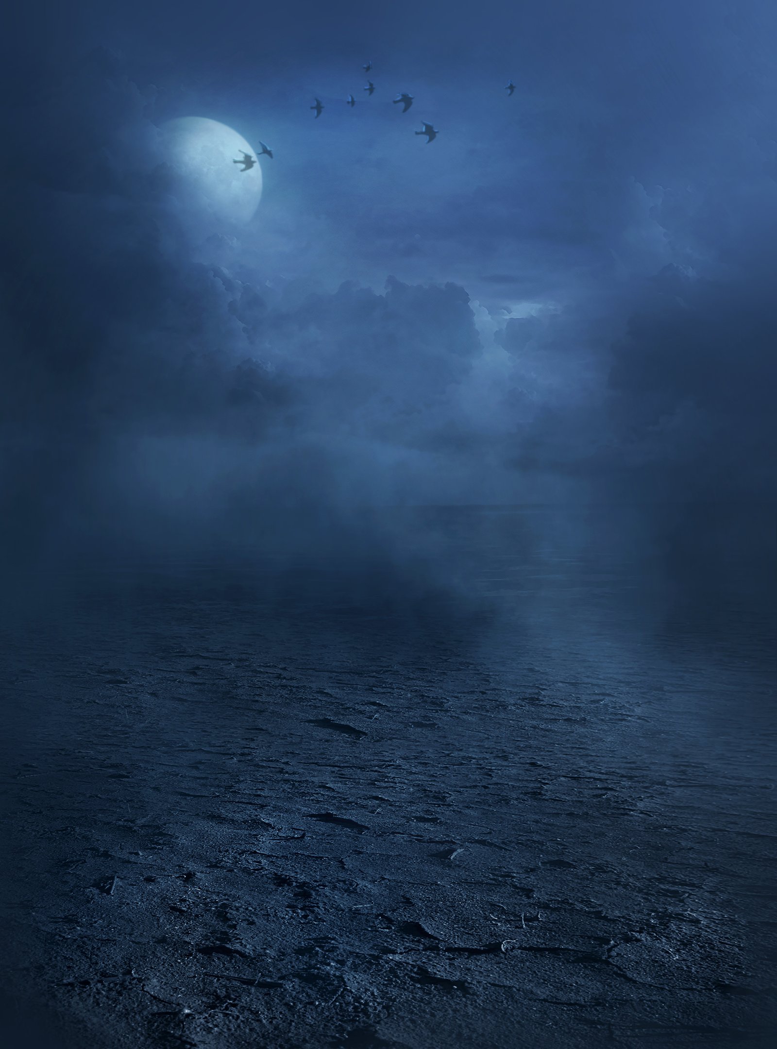 /