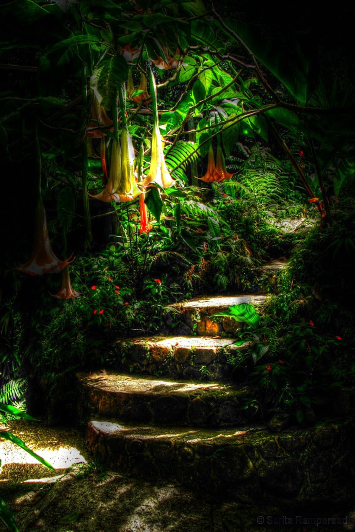 /