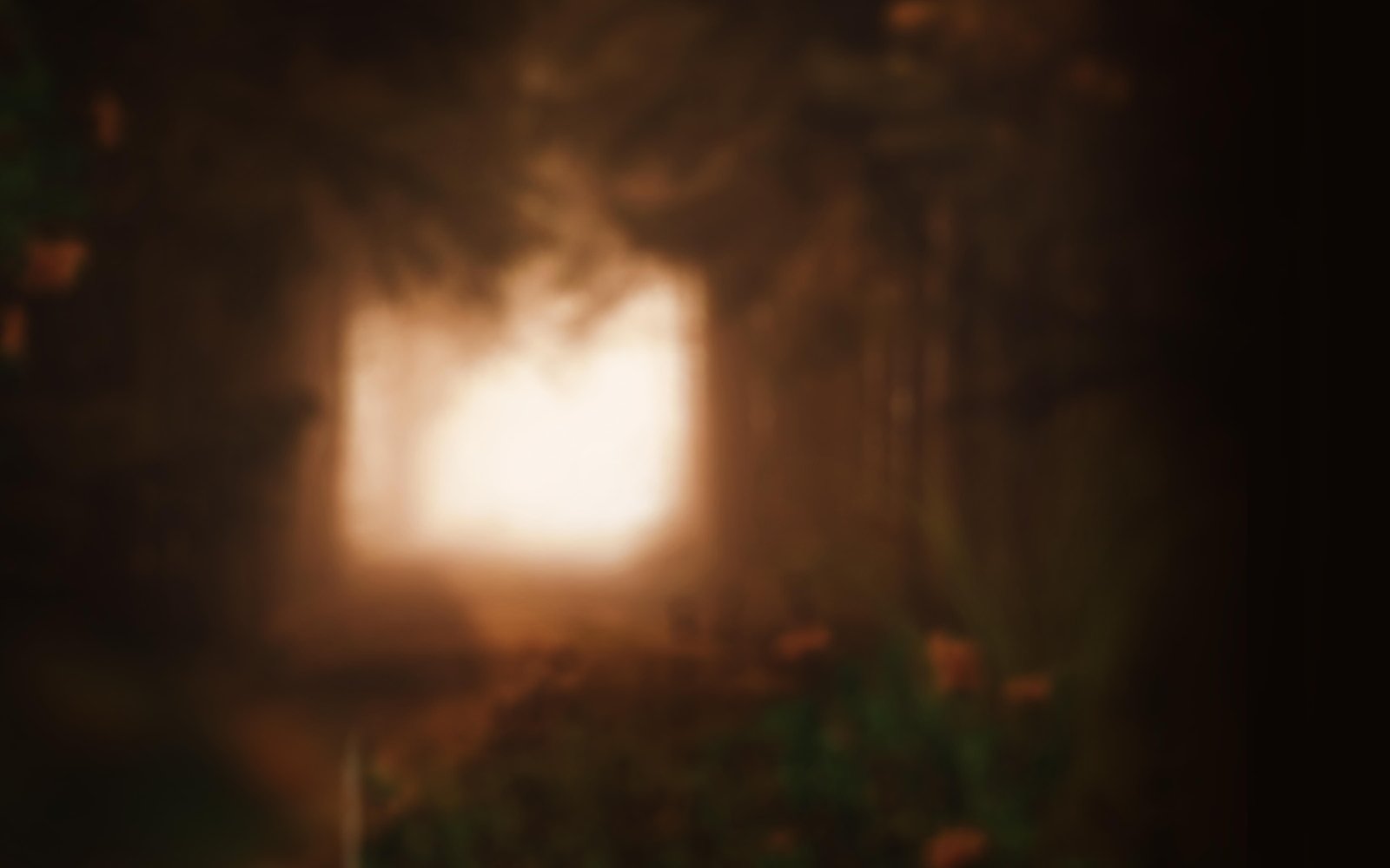 /
