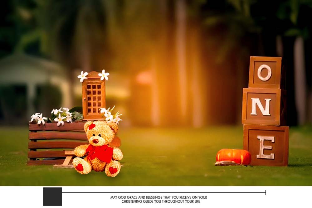 18x12 Baby Birthday Album Design PSD Templates Free Download