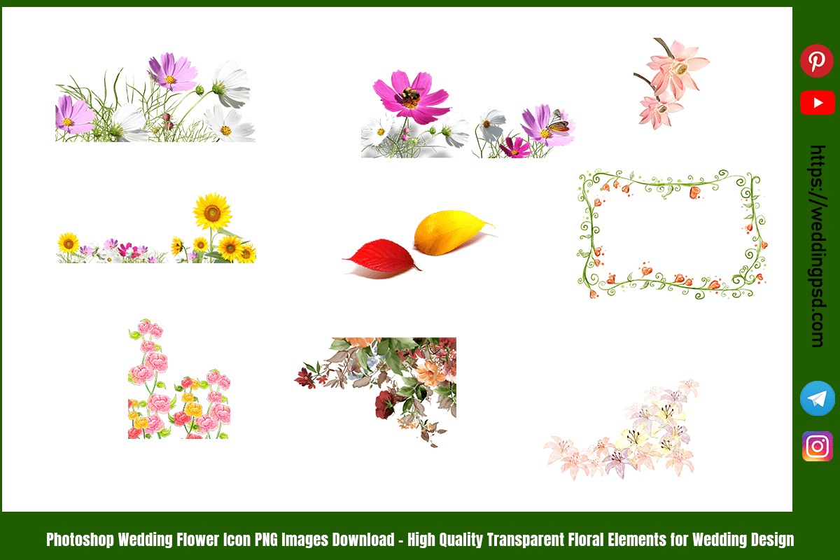 Photoshop Wedding Flower Icon PNG Images Download – High-Quality Transparent Floral Elements for Wedding Design
