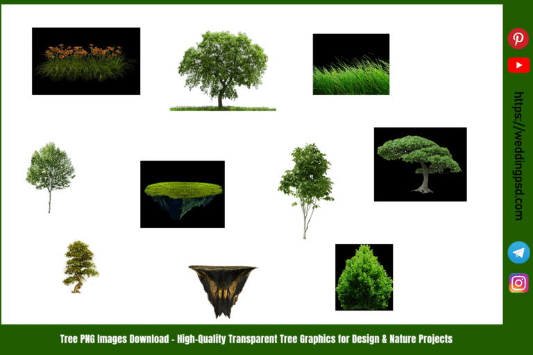 Tree PNG Images Download – High Quality Transparent Tree Graphics for Design & Nature Projects
